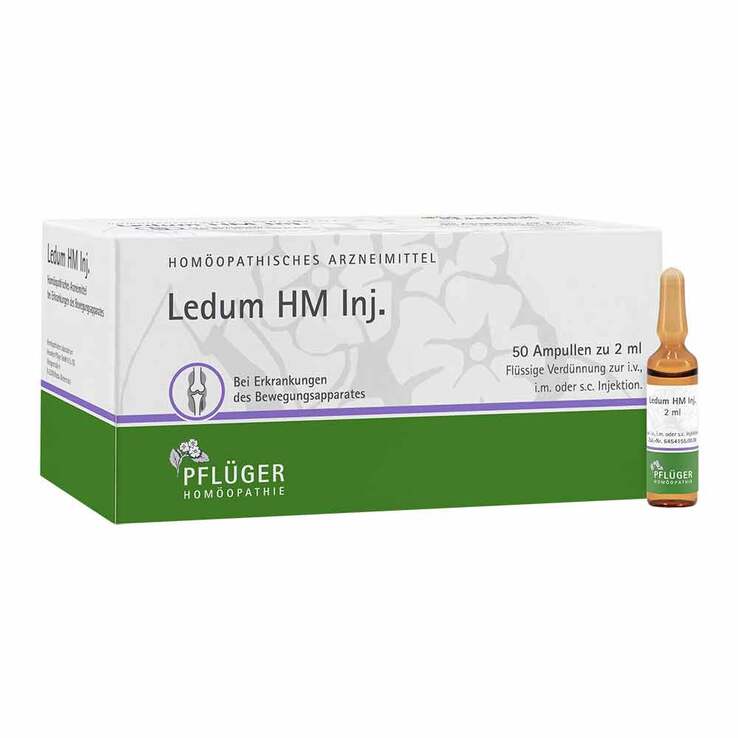 Ledum HM Injekt Ampullen, 50 St