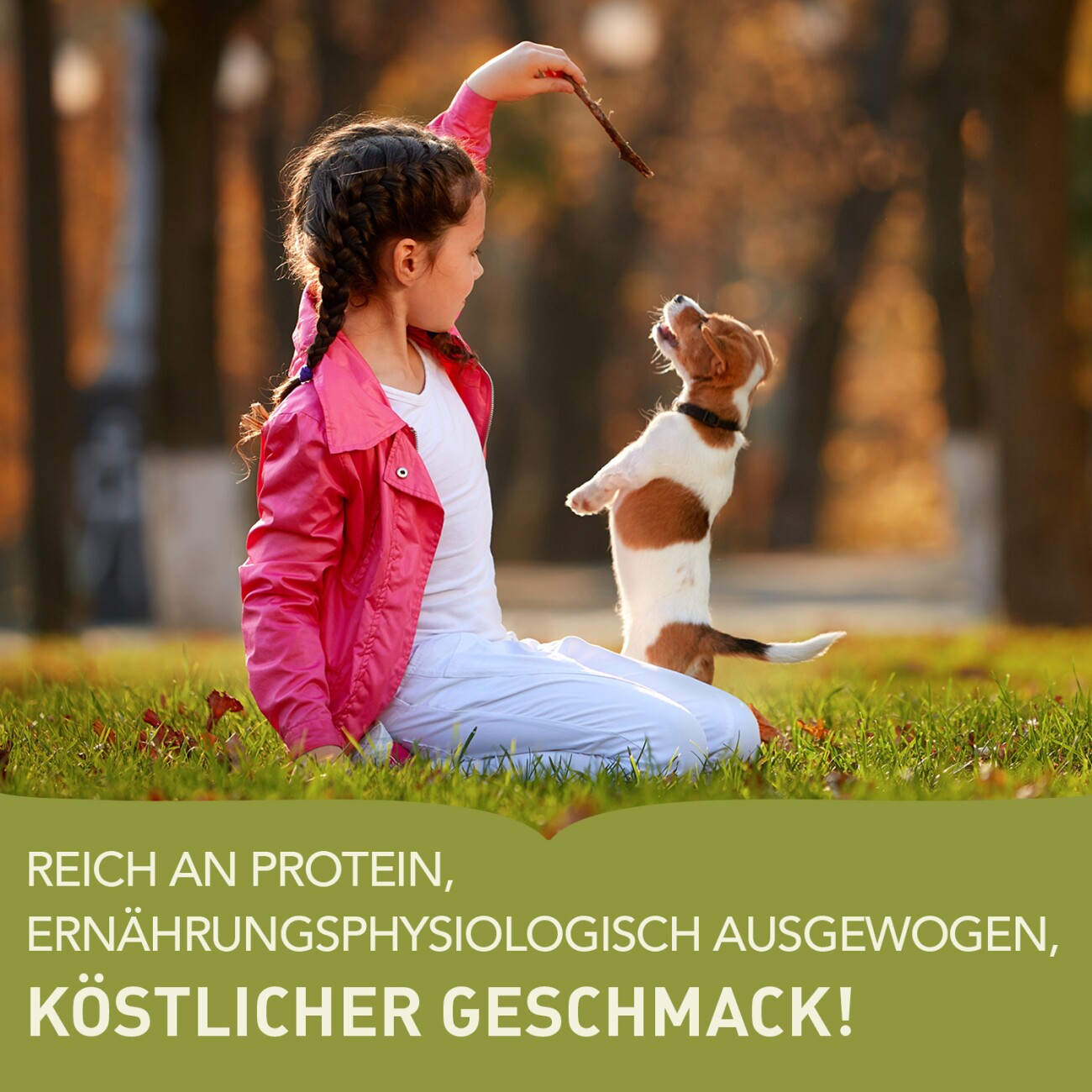 ACANA Puppy Small Breed 2 kg