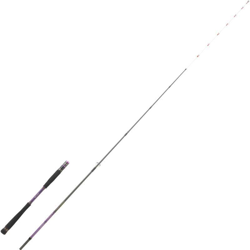 Canne Spinning Hearty Rise Shiga Tenya Spinning