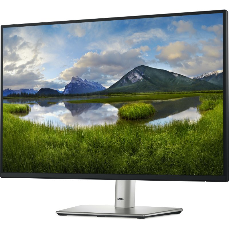 DELL Pro Plus P2425 écran plat de PC 61,1 cm (24.1
