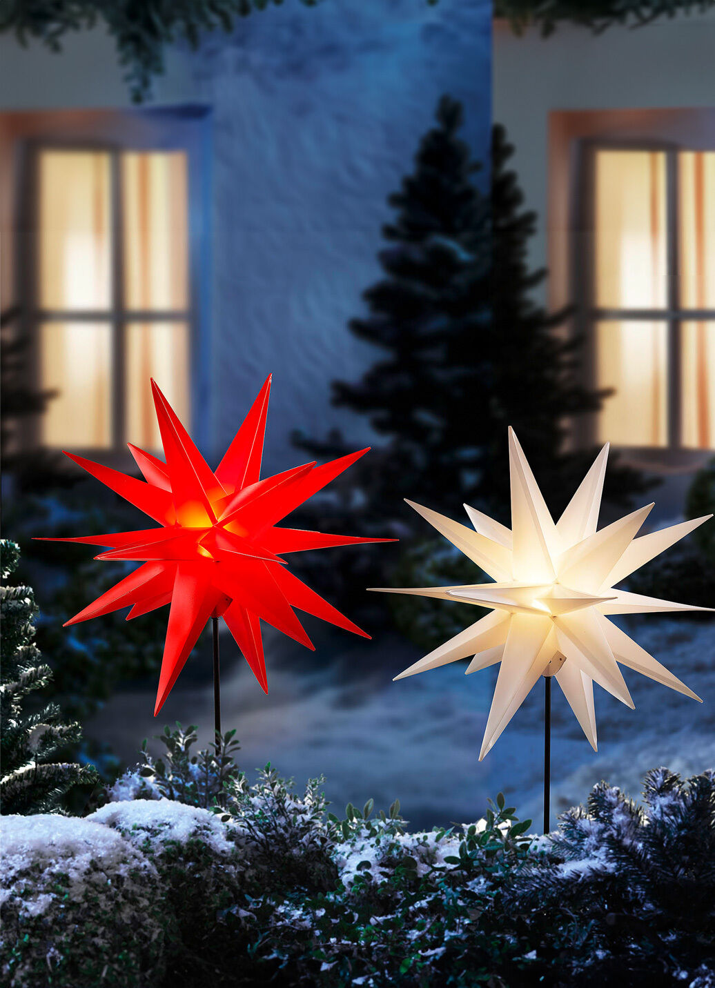 Weihnachtsstern mit Erdspiess
