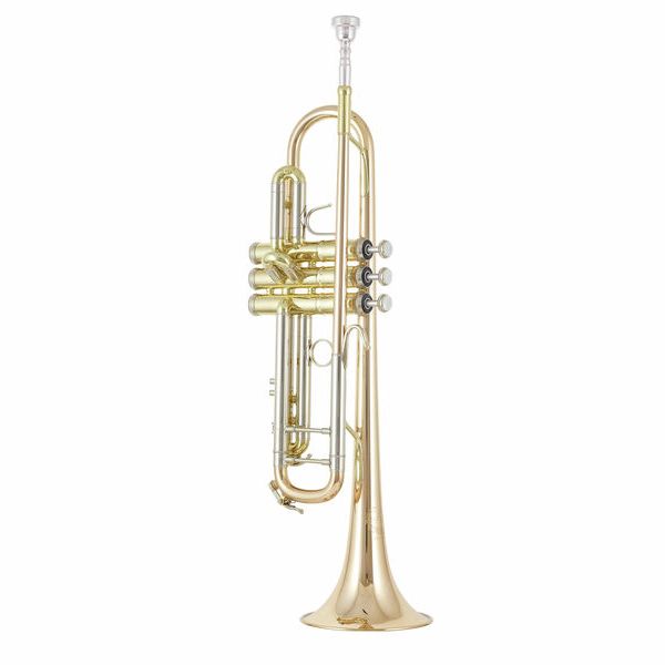 B&S 3137G-L Challenger I GM