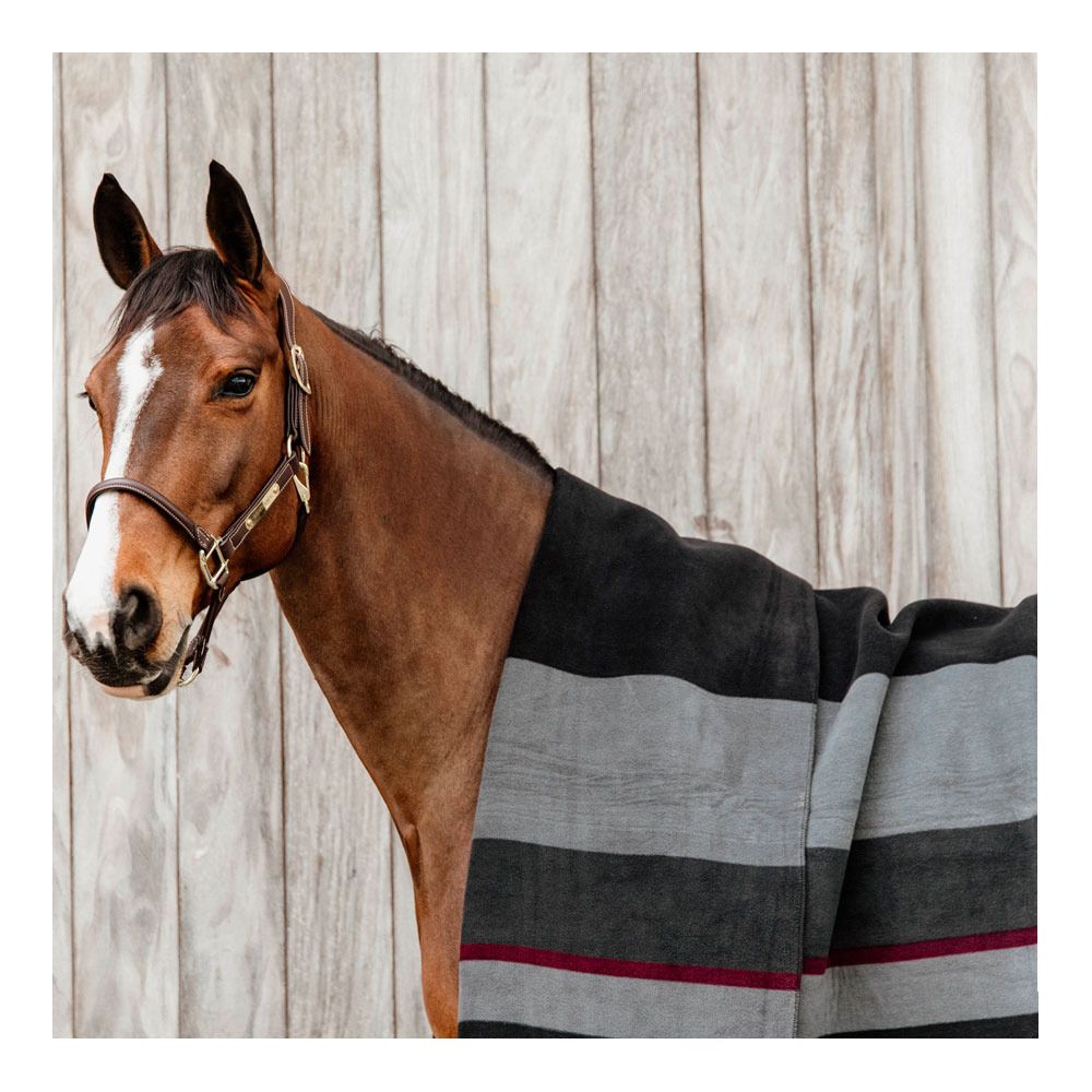 Kentucky HEAVY FLEECE 140X120 - Chemise séchante black/grey