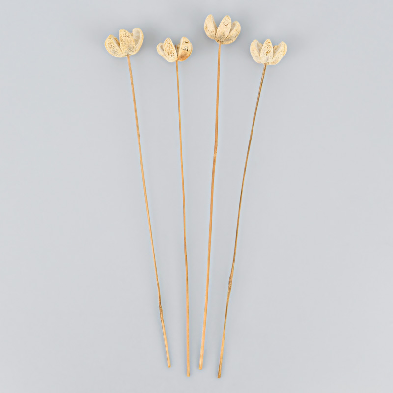 4 fleurs sur tiges