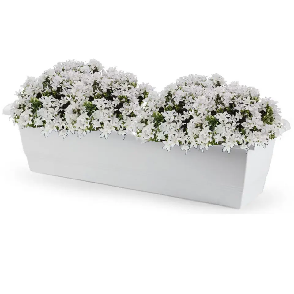 Forte Plastics Plantenbak - wit - rechthoekig - 60 x 20 x 16 cm