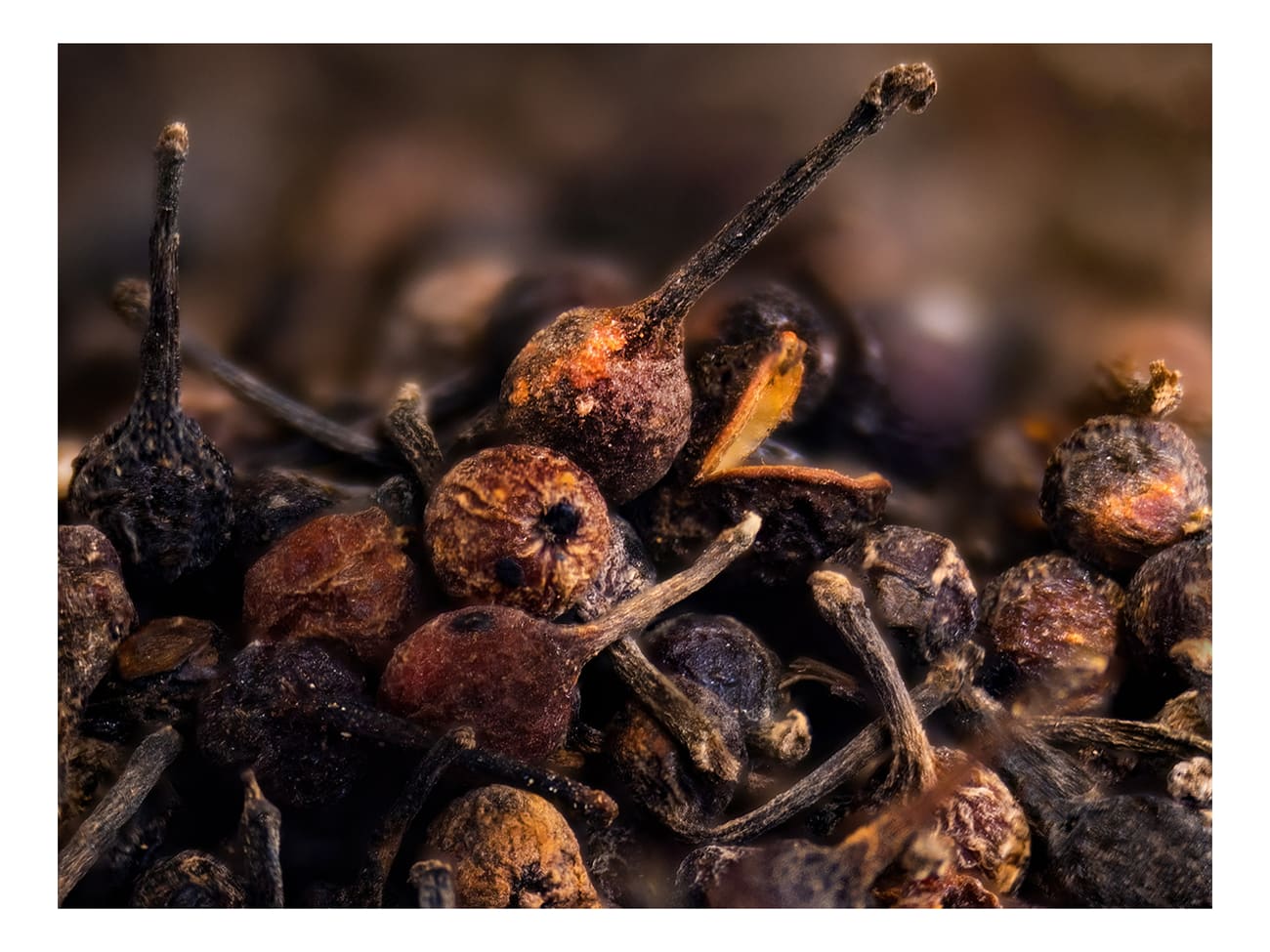 Poivre sauvage de Madagascar - Voatsiperifery - 55 g - Max Daumin