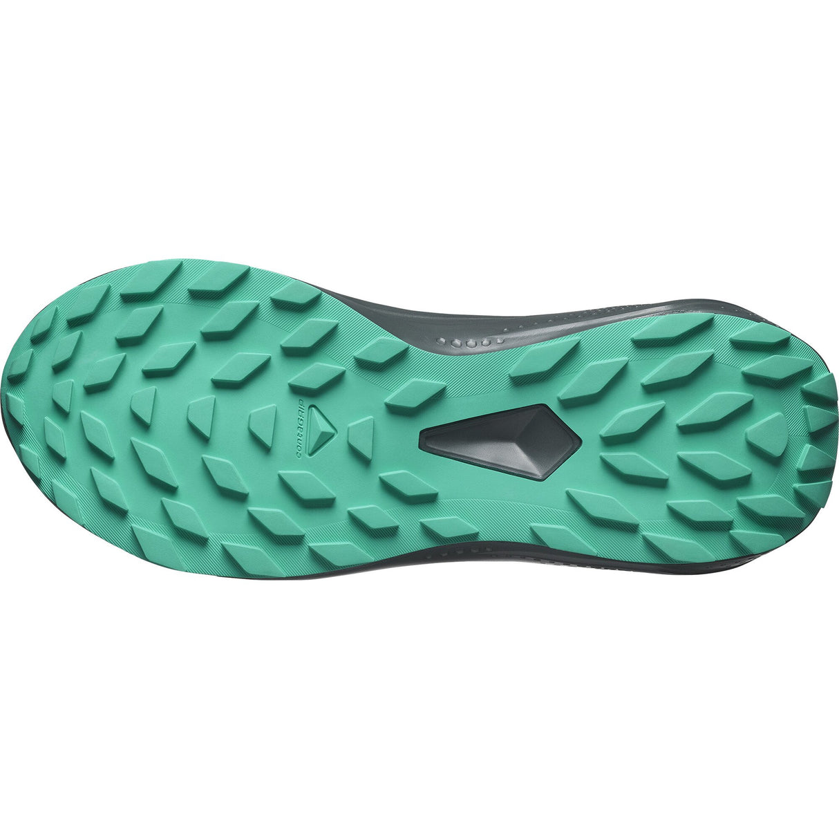 Salomon<br>Alphaglide GTX W