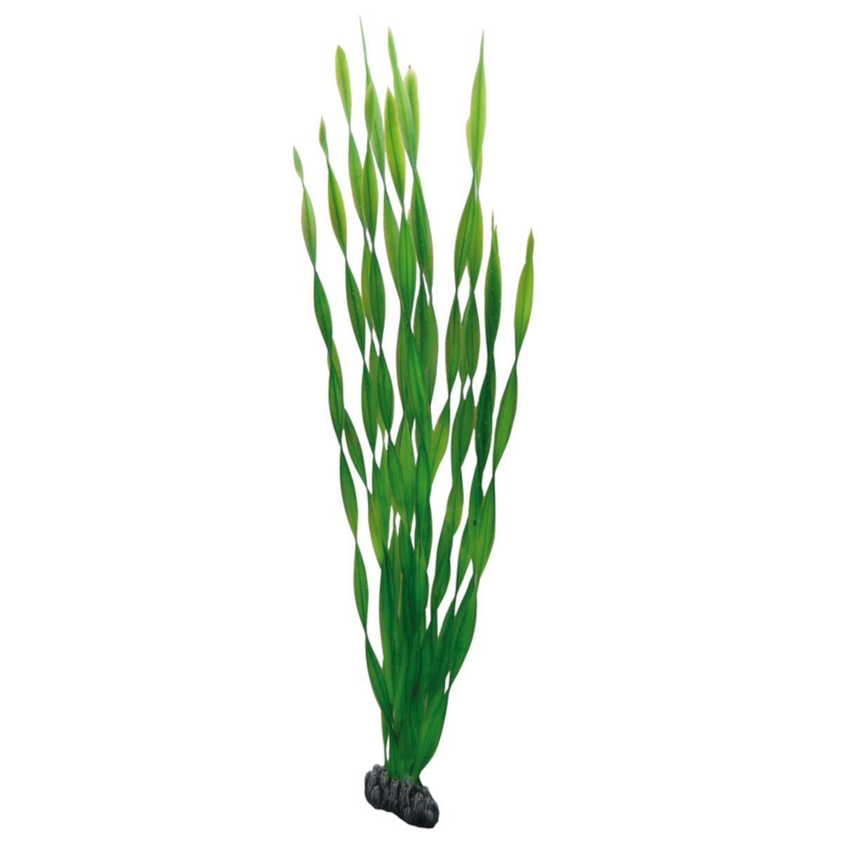 Hobby Vallisneria - Kunststoffpflanze für Aquarien