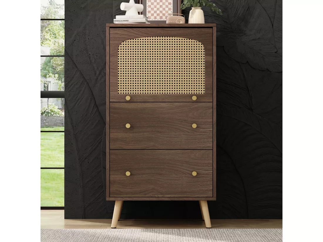 Armoire compacte en noyer avec détails en rotin, deux tiroirs, porte coulissante et pieds dorés – 60 x 40 x 113 cm – Meuble de rangement élégant