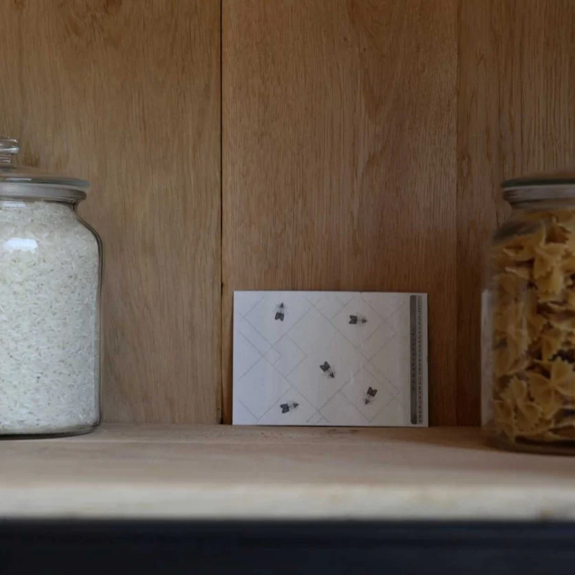 Piège à mites alimentaires x2 Starwax
