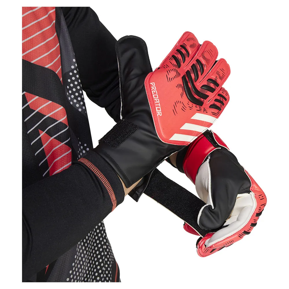 Luvas de treino para goleiro adidas Predator