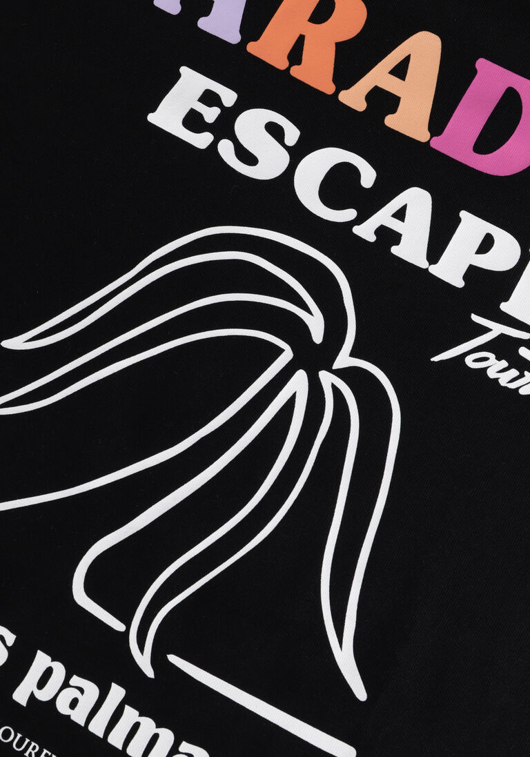 COLOURFUL REBEL zwarte colourful rebel t-shirt paradise escape boxy tee