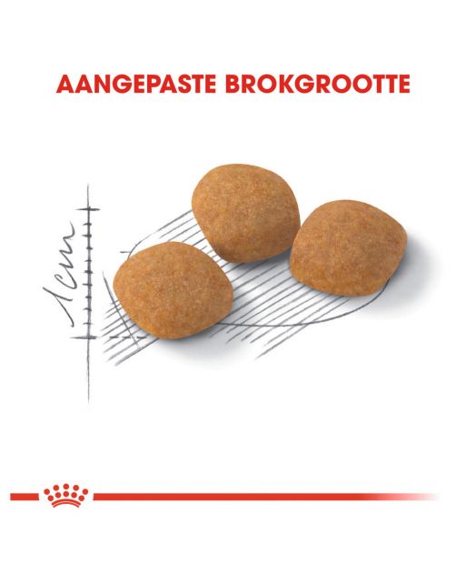 Royal Canin Protein Exigent - Kattenvoer