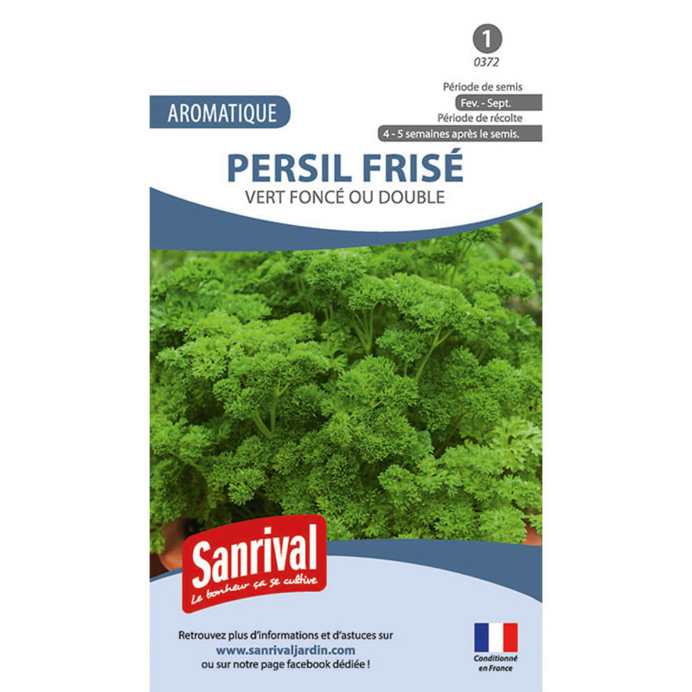 Graines persil frisé