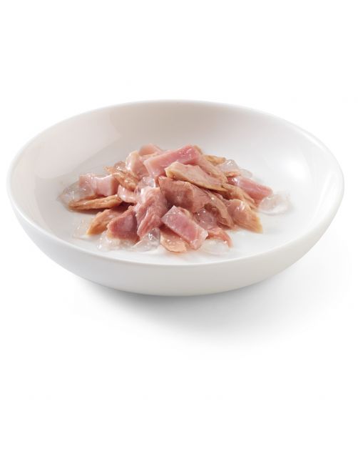 Schesir Kat Blik Gelei Vis 85 g - Kattenvoer