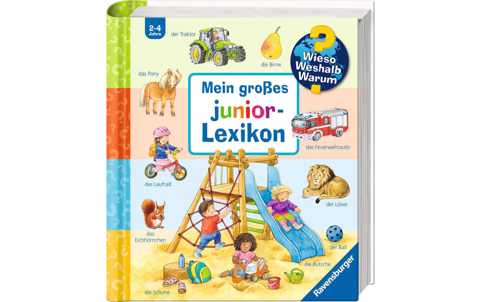 Kinder-Sachbuch WWW Mein grosses Junior-LexikonExtradickes Bildwörterbuch