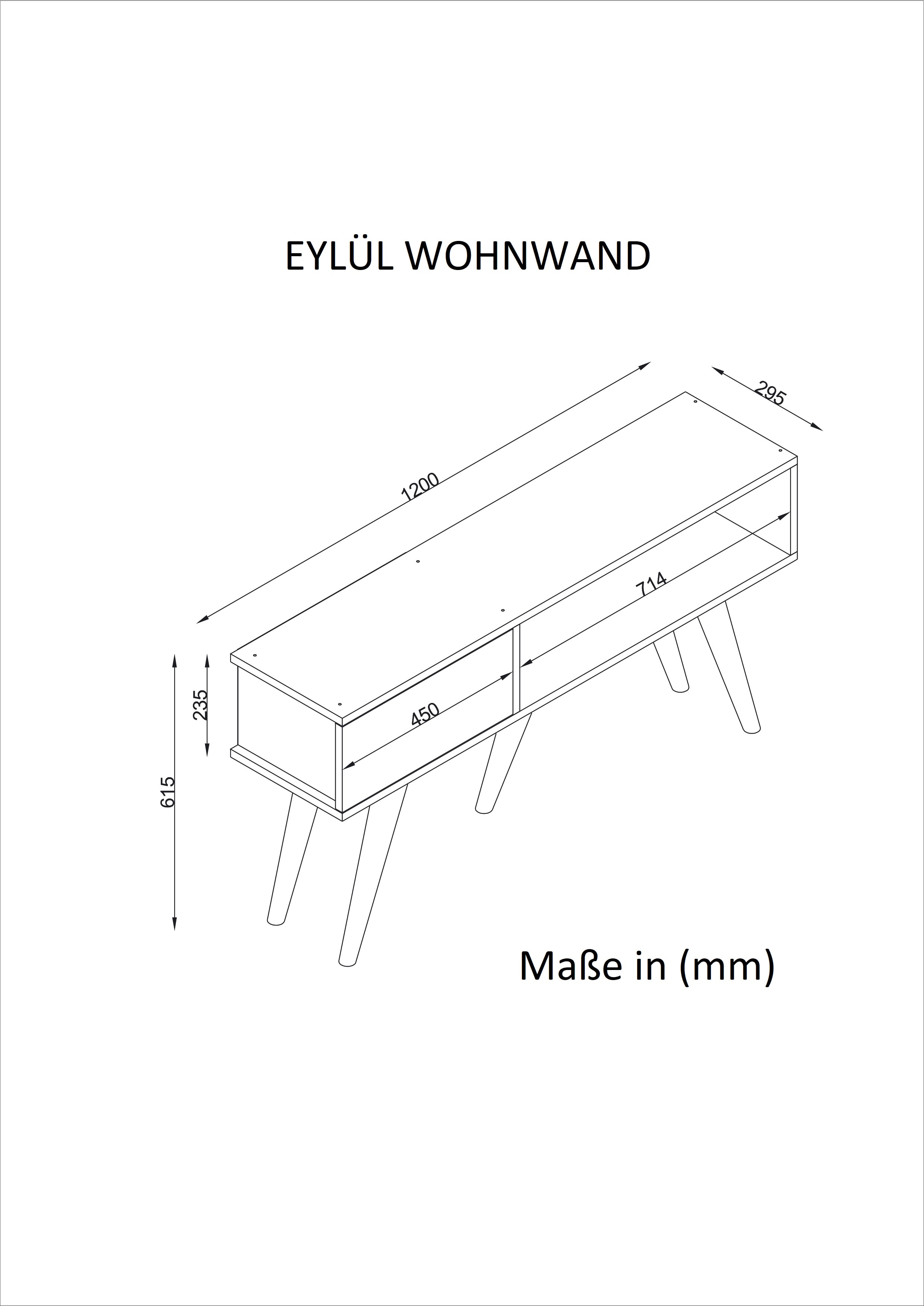 TV Lowboard Eylül Weiß Walnuss