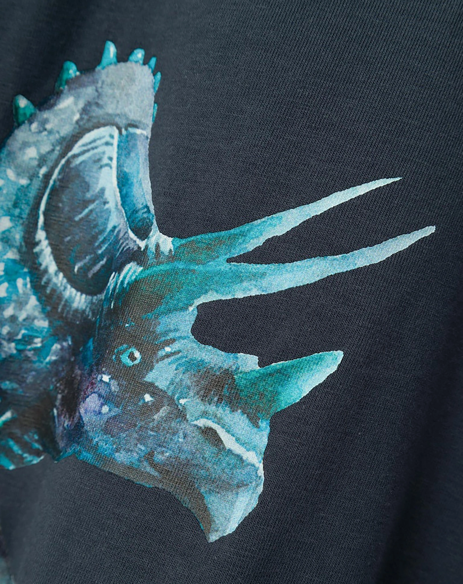 Langarmshirt NMMNULA TRICERA in india ink