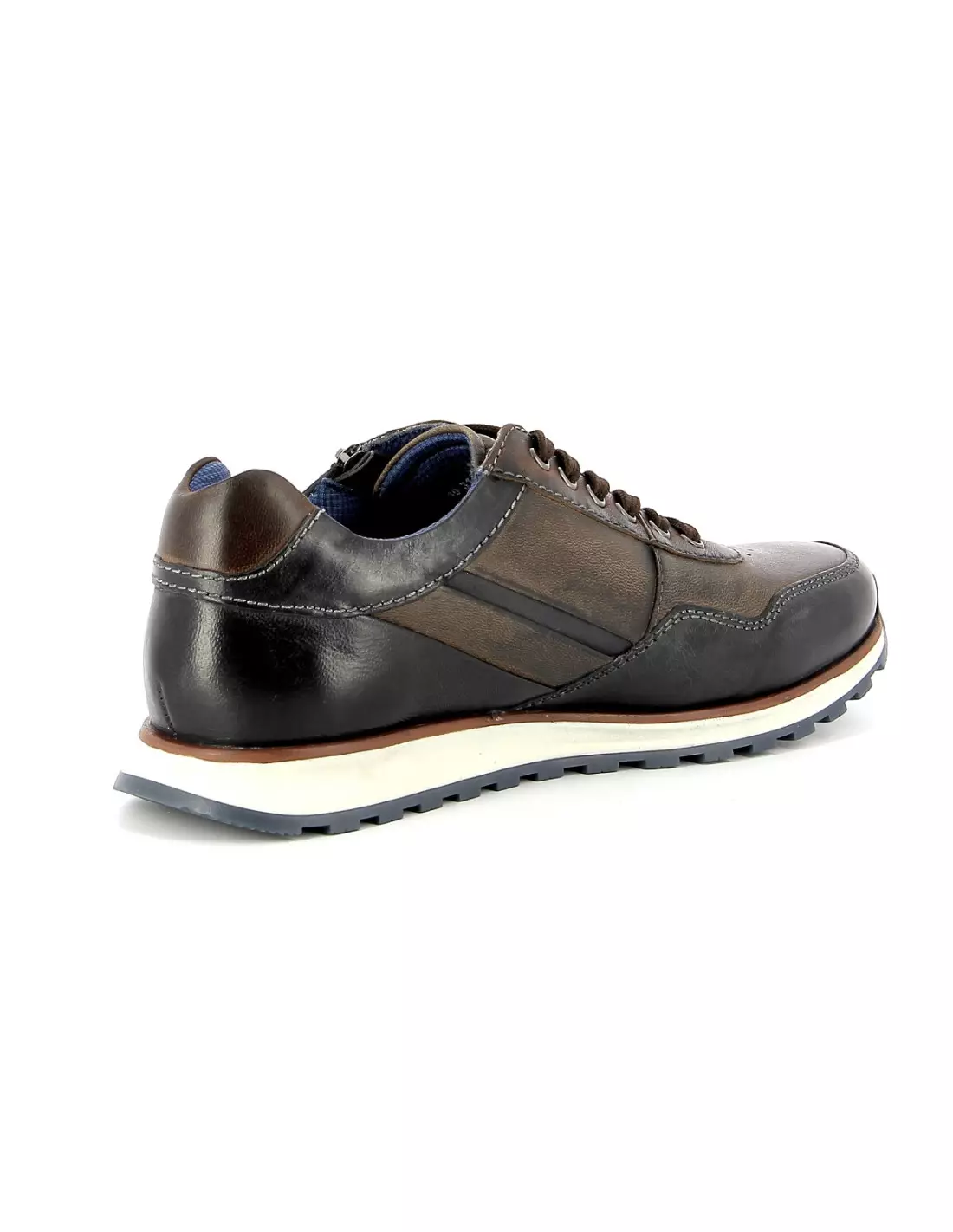 BUGATTI LEMANS 31 - Baskets Darkgrey