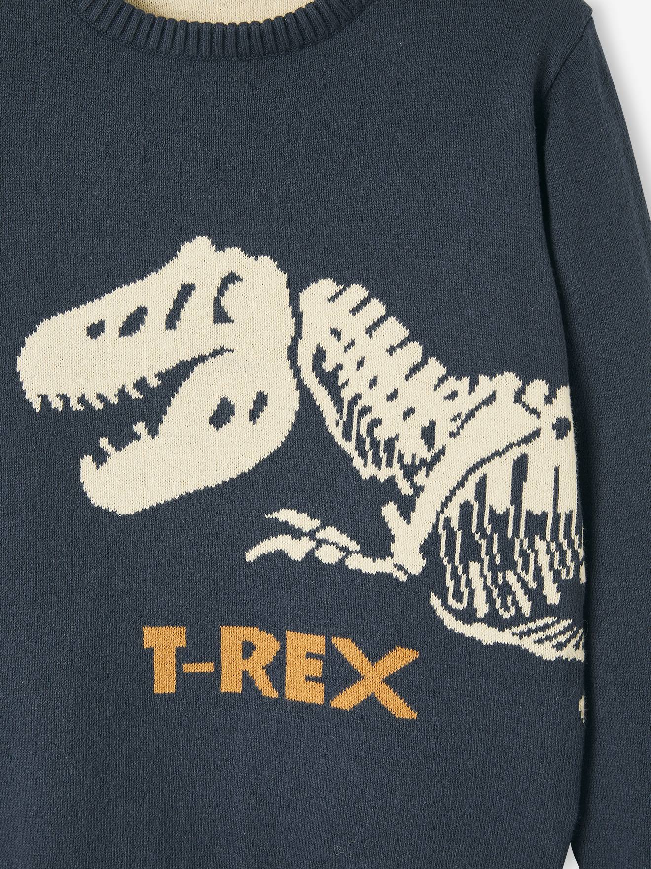 Suéter jacquard com dinossauro, para meninos, azul médio liso com estampas.