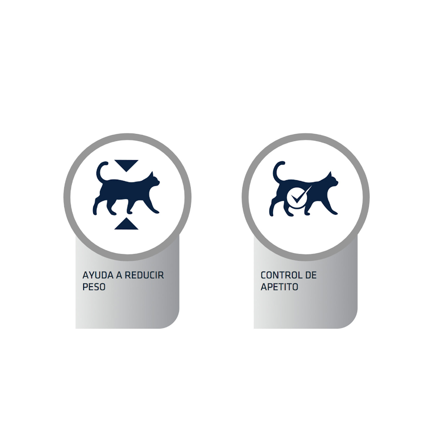 85 g Advance Veterinary Diets Weight Balance Sobre para gatos