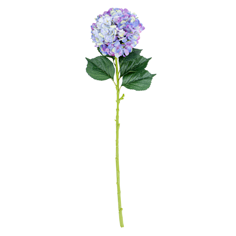 Tige d'hortensia géante