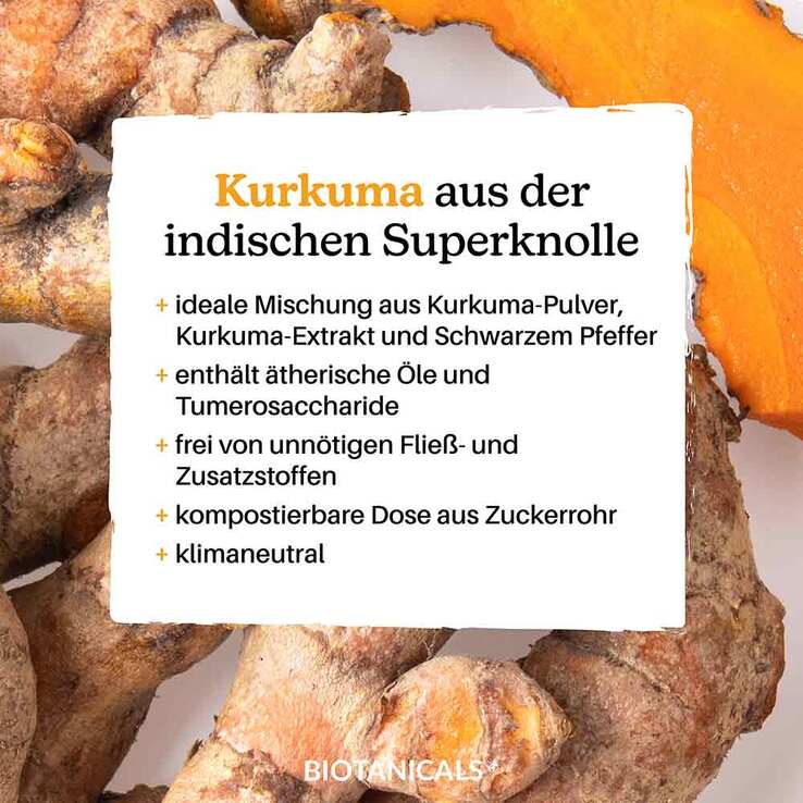 Biotanicals Kurkuma Kapseln, 120 St