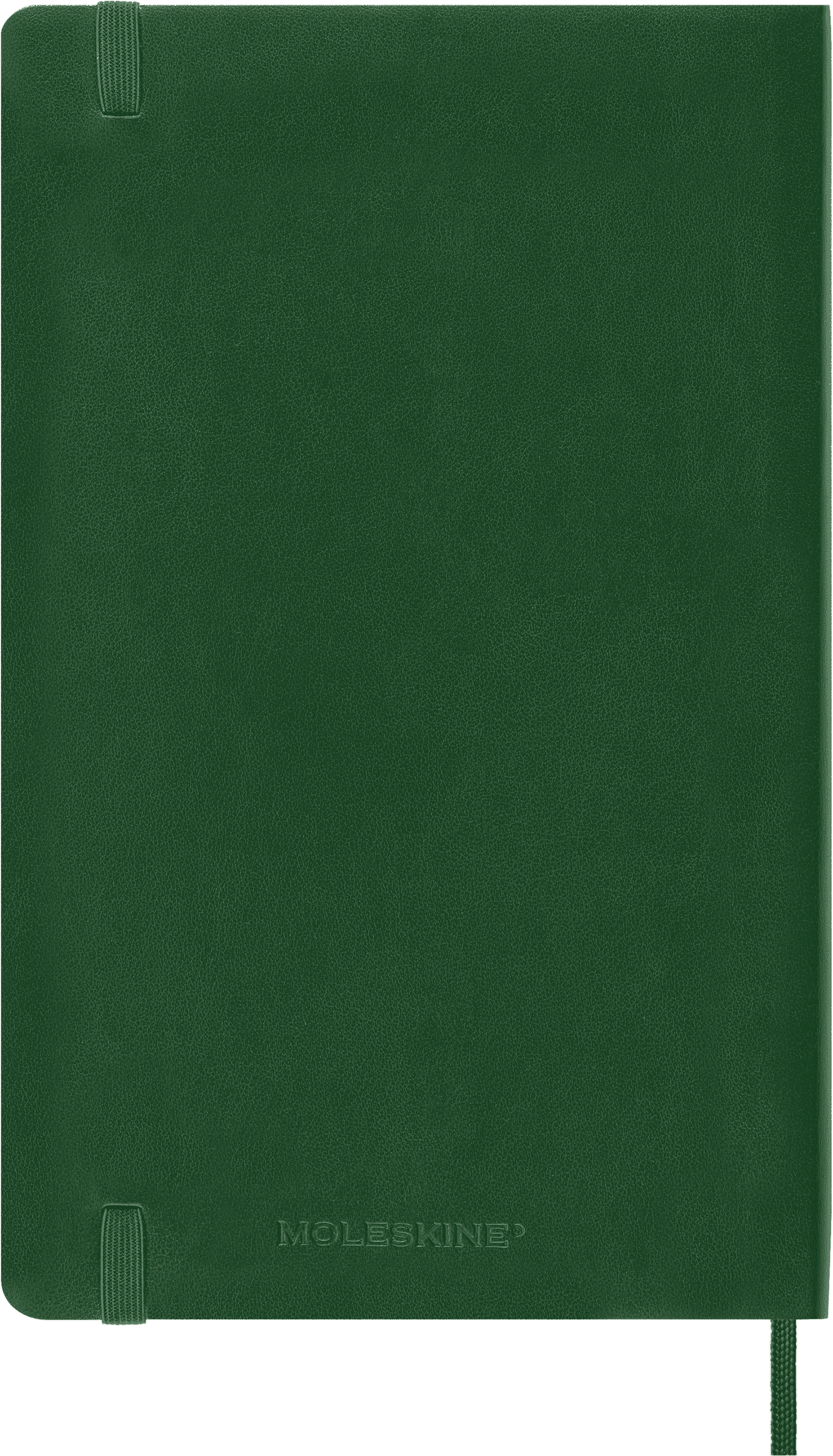 Classic Planner 2025 Large Daily, soft cover, 12 months