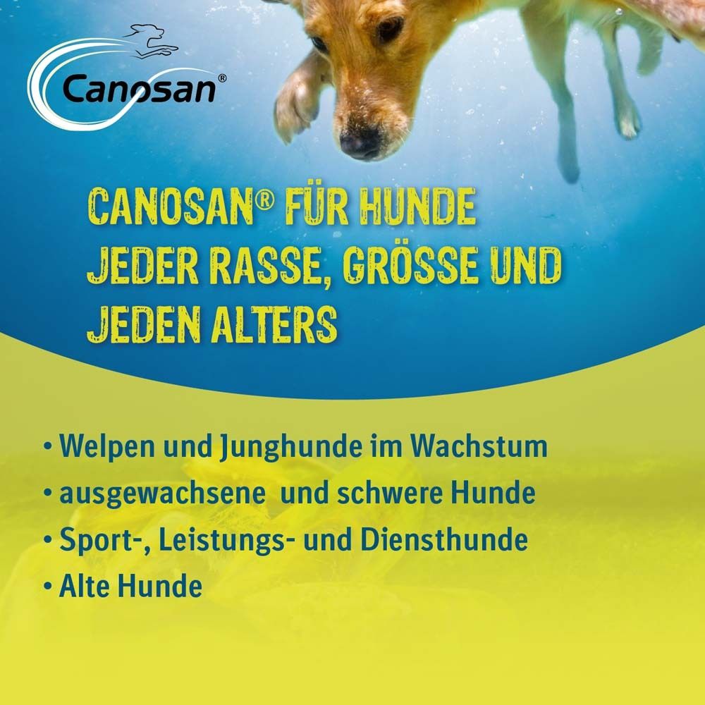Canosan® Pellets für Gelenkgesundheit bei Hunden mit Grünlippmuschel-Extrakt Gonex®