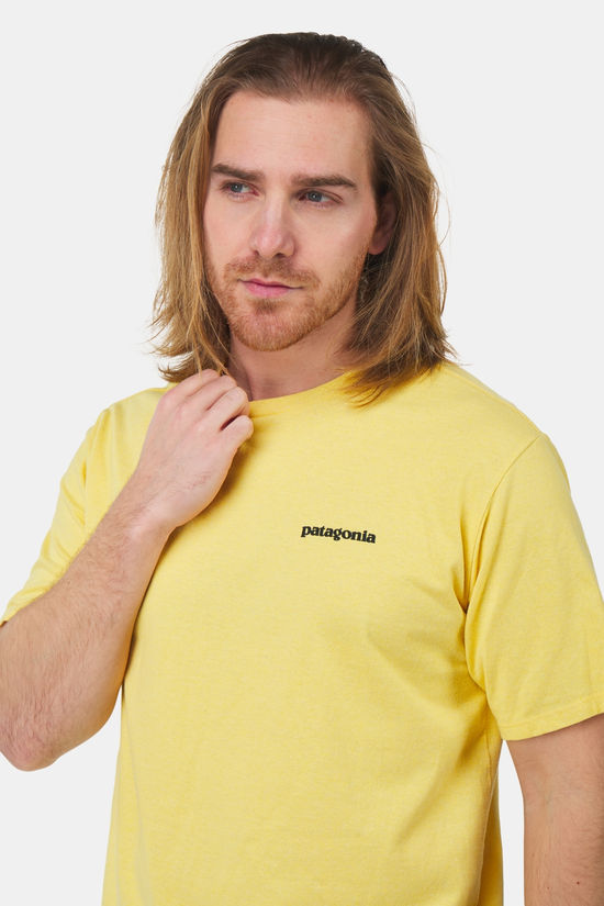 Patagonia Patagonia P6 Logo Responsibilitee