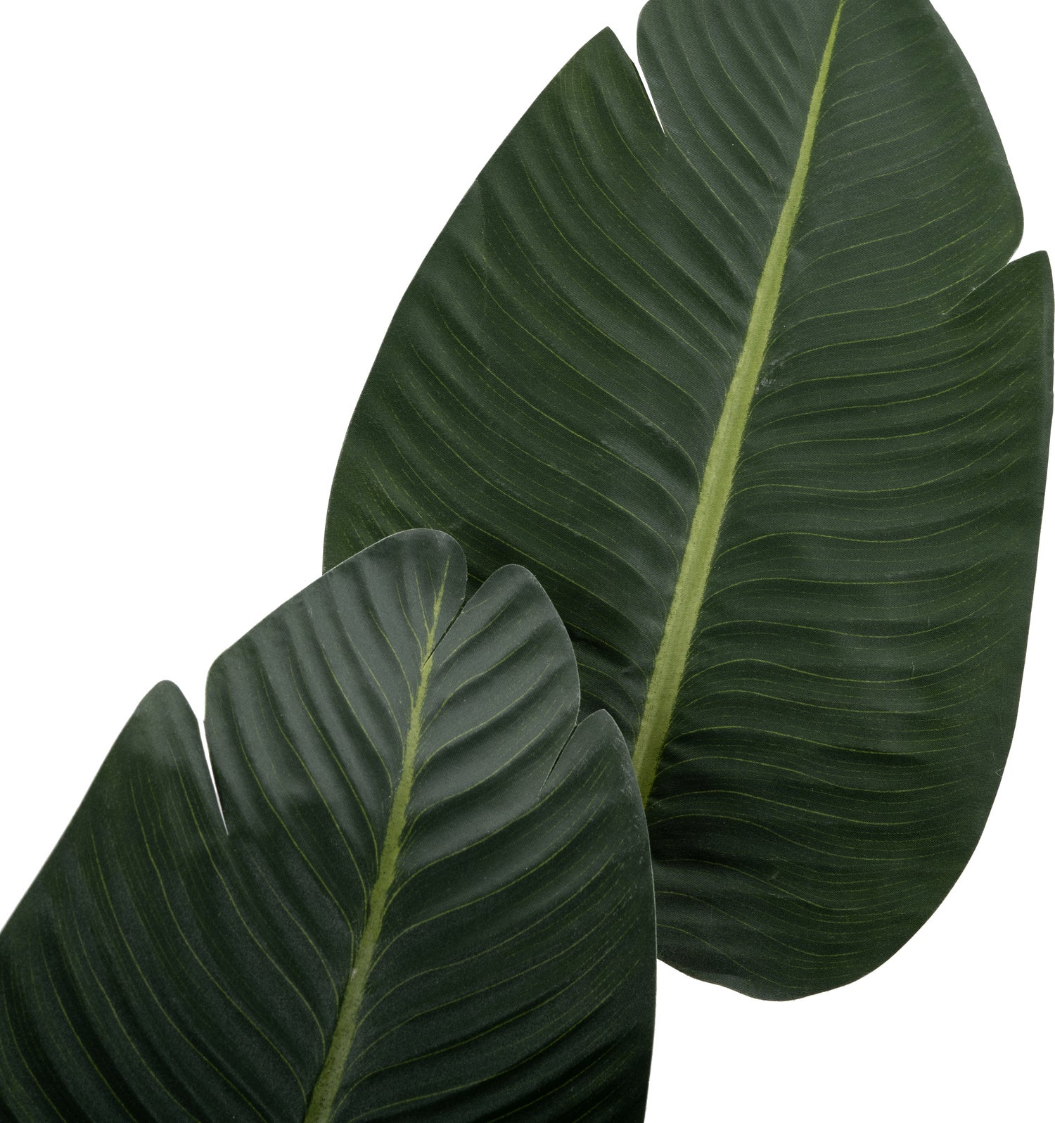 Intratuin kunstplant Strelitzia 100 x 100 x 180 cm