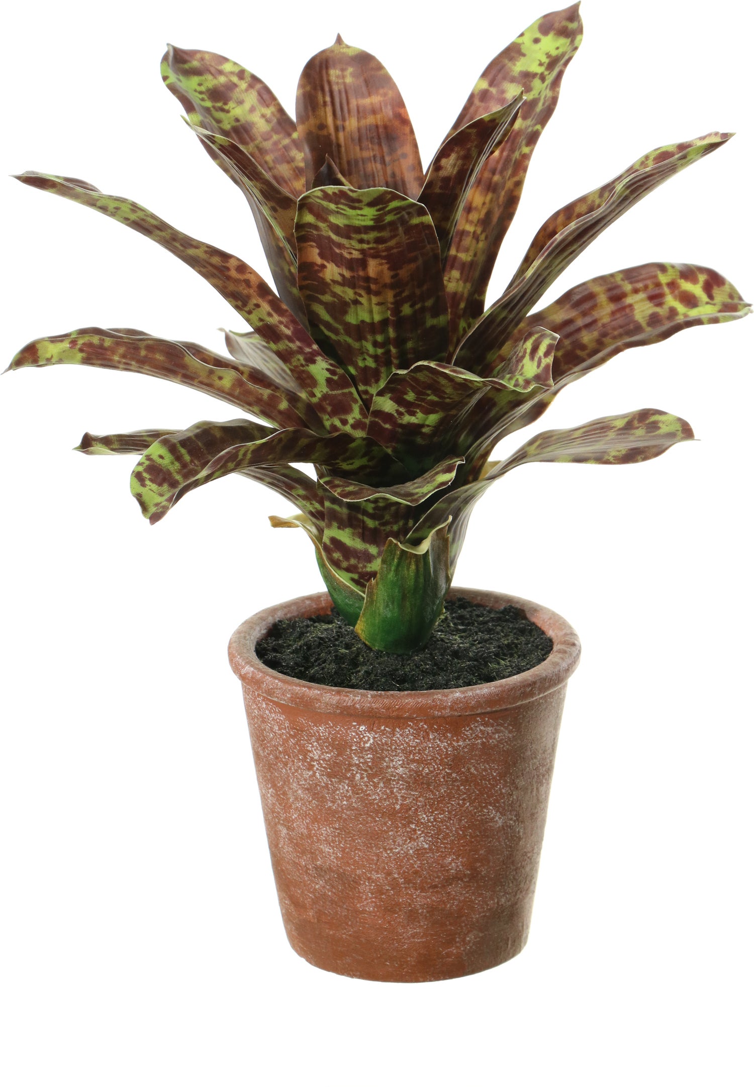 Louis Maes kunstplant Bromelia 40 cm bruin groen