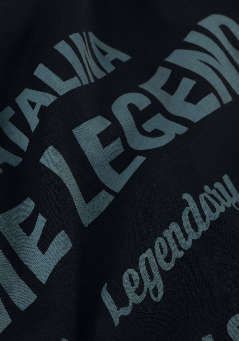 PME LEGEND blauwe pme legend t-shirt short sleeve r-neck play single jersey
