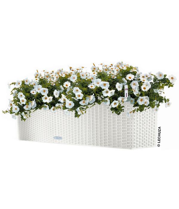 LECHUZA® Kunststoff-Kasten Balconera Cottage,