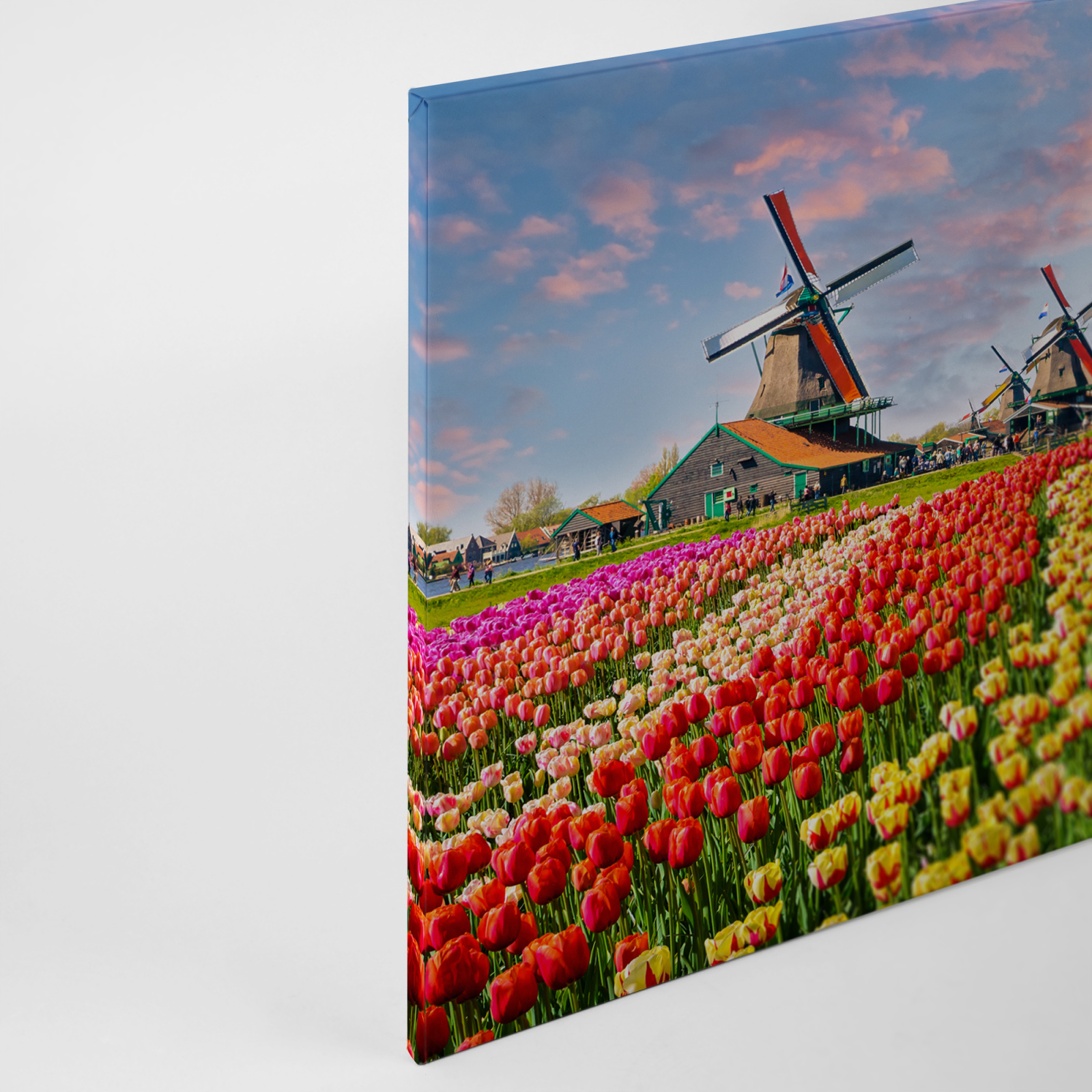Leinwandbild ZAANSE SCHANS - bunt - 90x60 cm