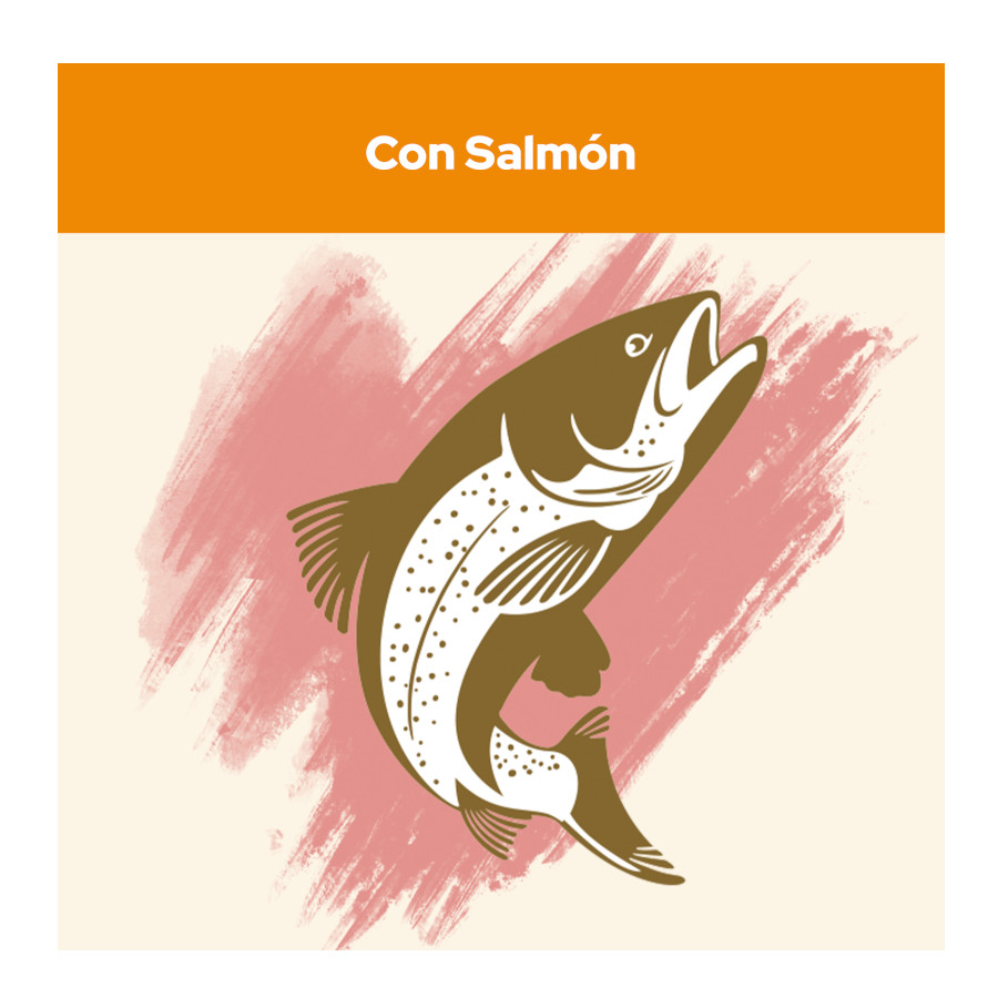 Ração para gatos adultos Cat Chow sabor salmão