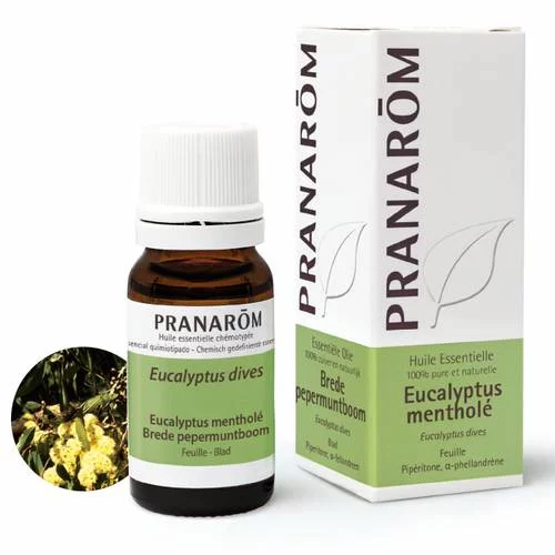 Eucalyptus mentholé - 10 ml