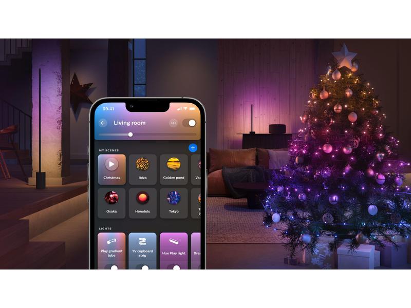 Philips Hue Festavia Lichterkette 20 m 250 LEDs CH Smarte Weihnachtsbeleuchtung für den Innen- und Aussenbereich