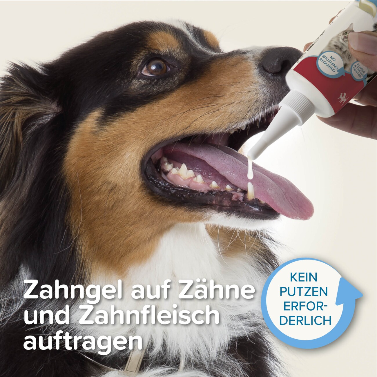 Beaphar Zahngel 100 ml