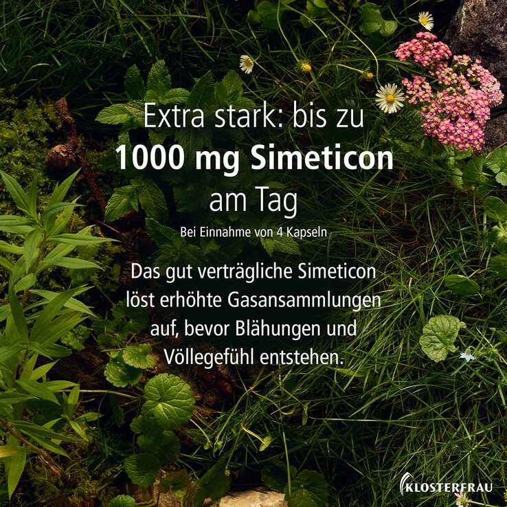 KLOSTERFRAU Magen-Darm Entspannung, 20 St
