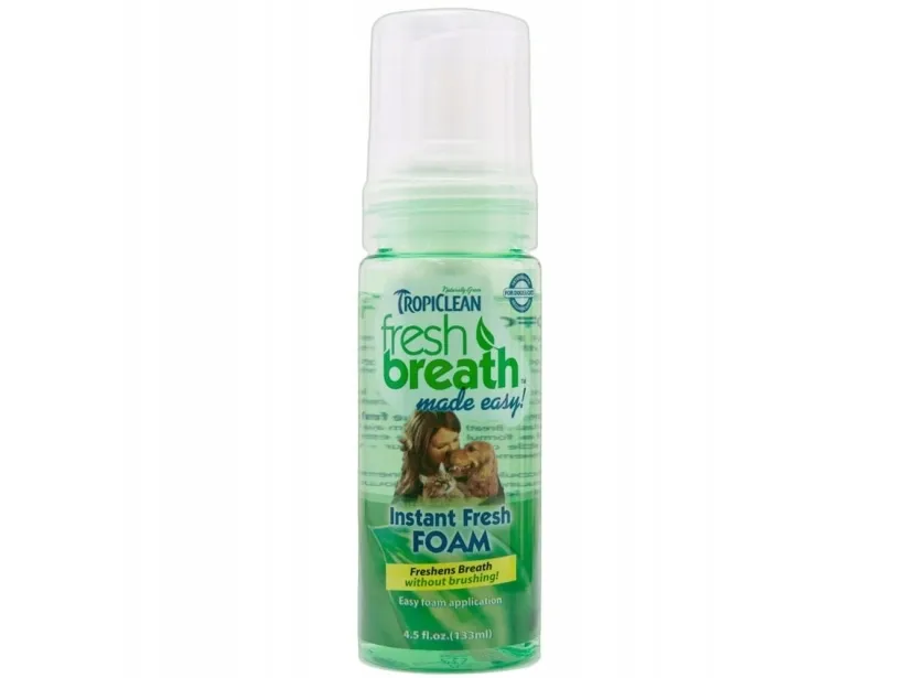 Oralcare foam