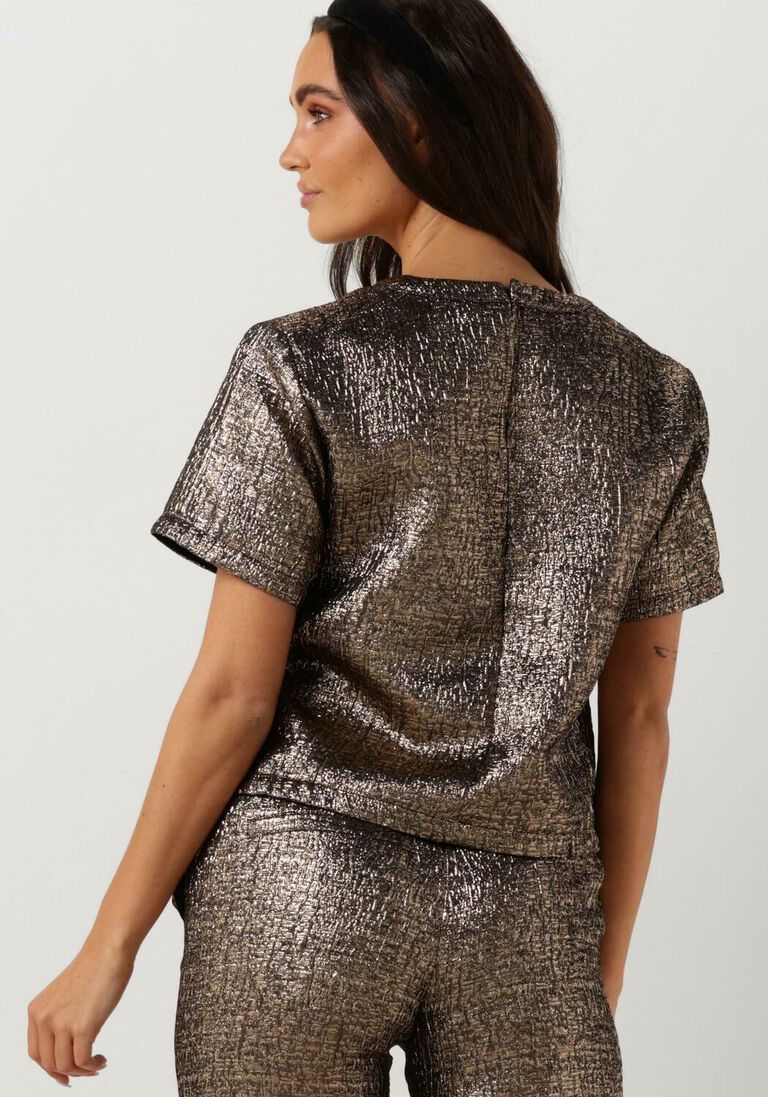 SELECTED FEMME gouden selected femme top slfviolet ss top ex