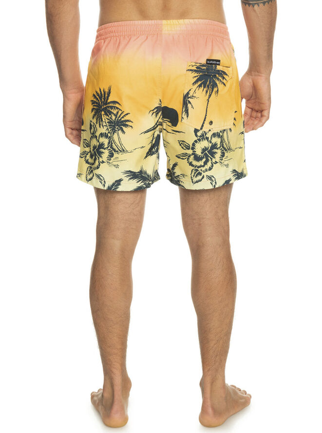 Quiksilver Everyday Paradise Volley 15