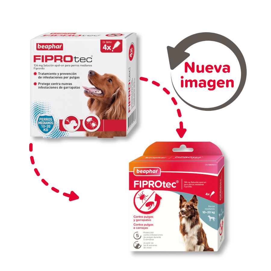Pipetas Beaphar FiproTec para cães de porte médio