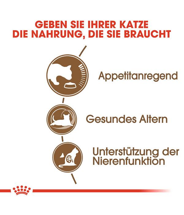 ROYAL CANIN® Trockenfutter für Katzen Ageing