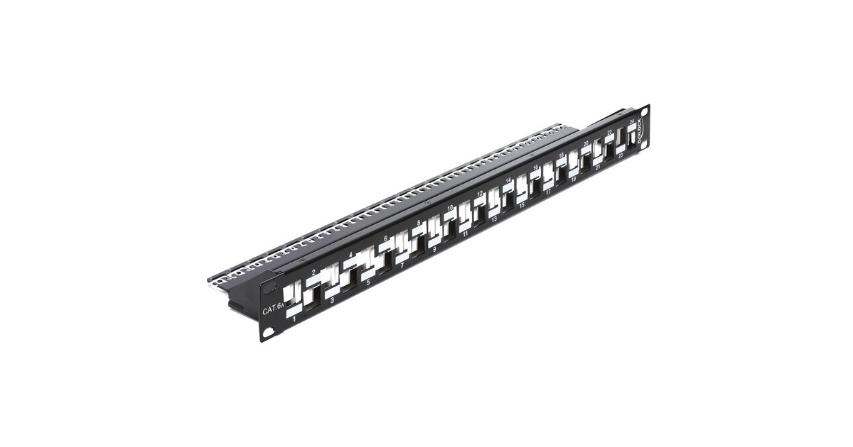 DeLOCKKeystone Patchpanel 19