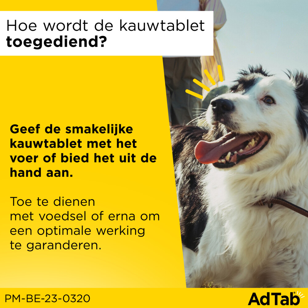 AdTab Anti Vlo en Teek Kauwtabletten Hond >11-22 kg3 tabletten