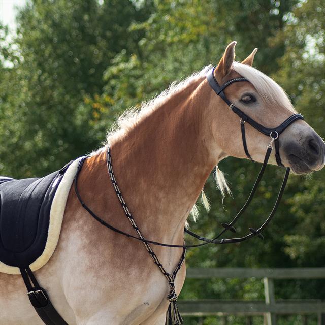 Bitloos Hoofdstel Free Horse FHLibertas Zwart