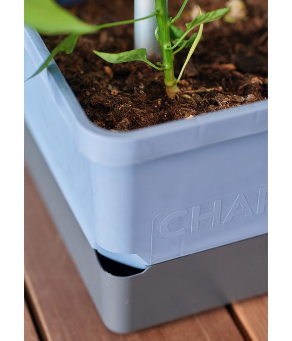 Gusta Garden Chili-Pflanztopf Charly Chili,