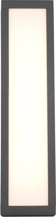 Led Wandleuchte 000769062403